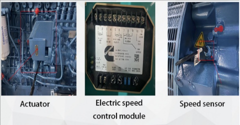 Electronic Governor