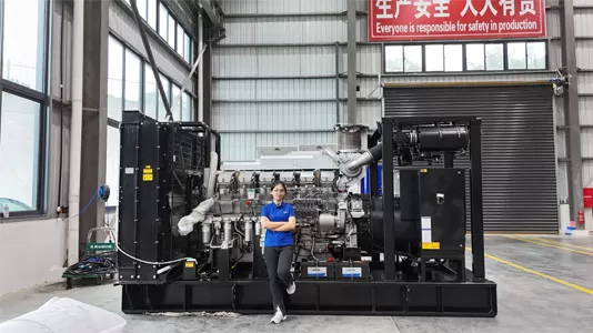 1300kVA Mitsubishi Open-skid Genset